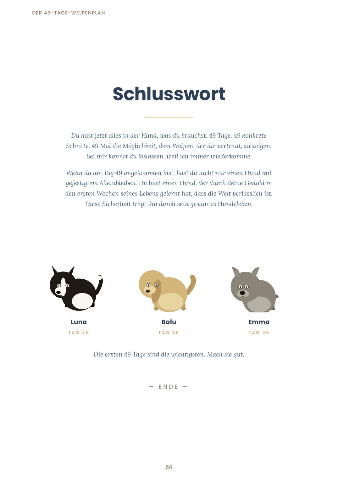 Schlusswort: Tag 49