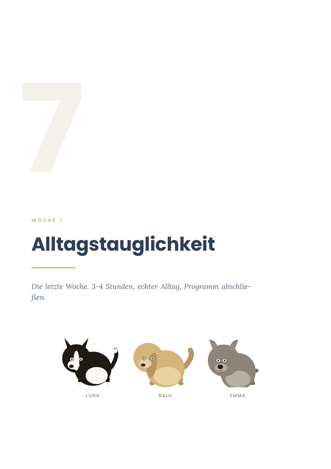 Woche 7: Die Welpen sind gewachsen